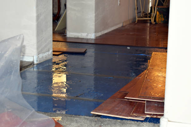 Professional Water Damage Restoration technician working in Augusta, AR